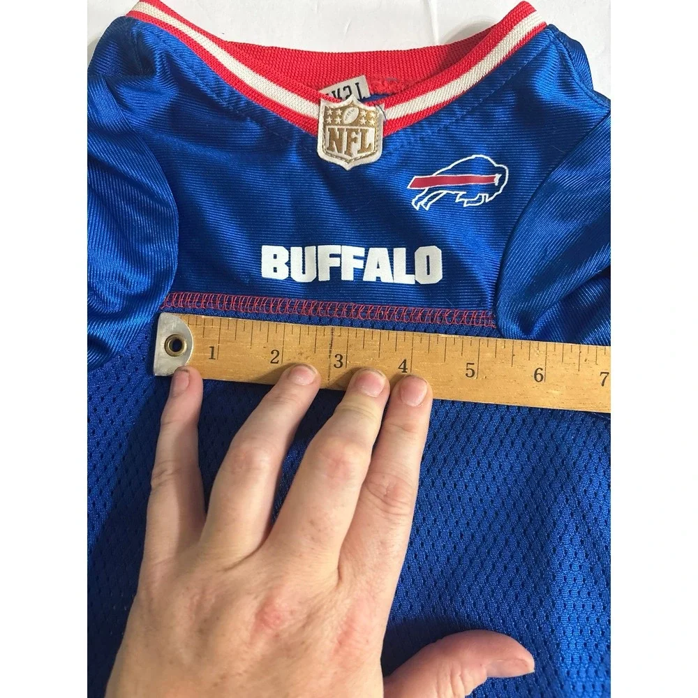 NFL this buffalo